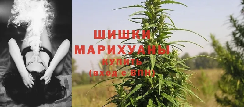 купить закладку  Менделеевск  Шишки марихуана White Widow 